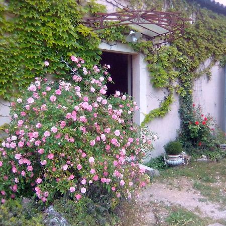 Le Domaine De Belle Bed and Breakfast LʼIsle-sur-la-Sorgue Exteriör bild