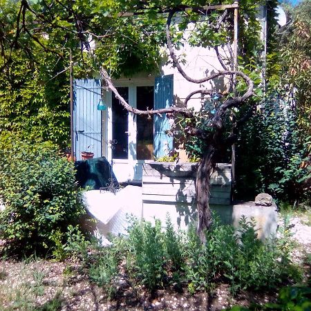 Le Domaine De Belle Bed and Breakfast LʼIsle-sur-la-Sorgue Exteriör bild