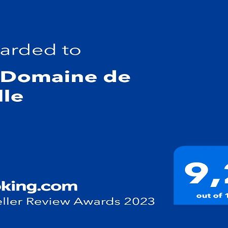 Le Domaine De Belle Bed and Breakfast LʼIsle-sur-la-Sorgue Exteriör bild