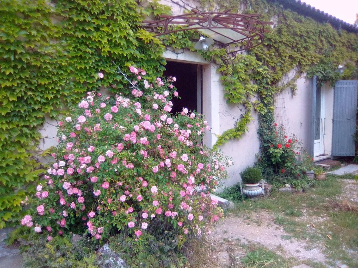 Le Domaine De Belle Bed and Breakfast LʼIsle-sur-la-Sorgue Exteriör bild