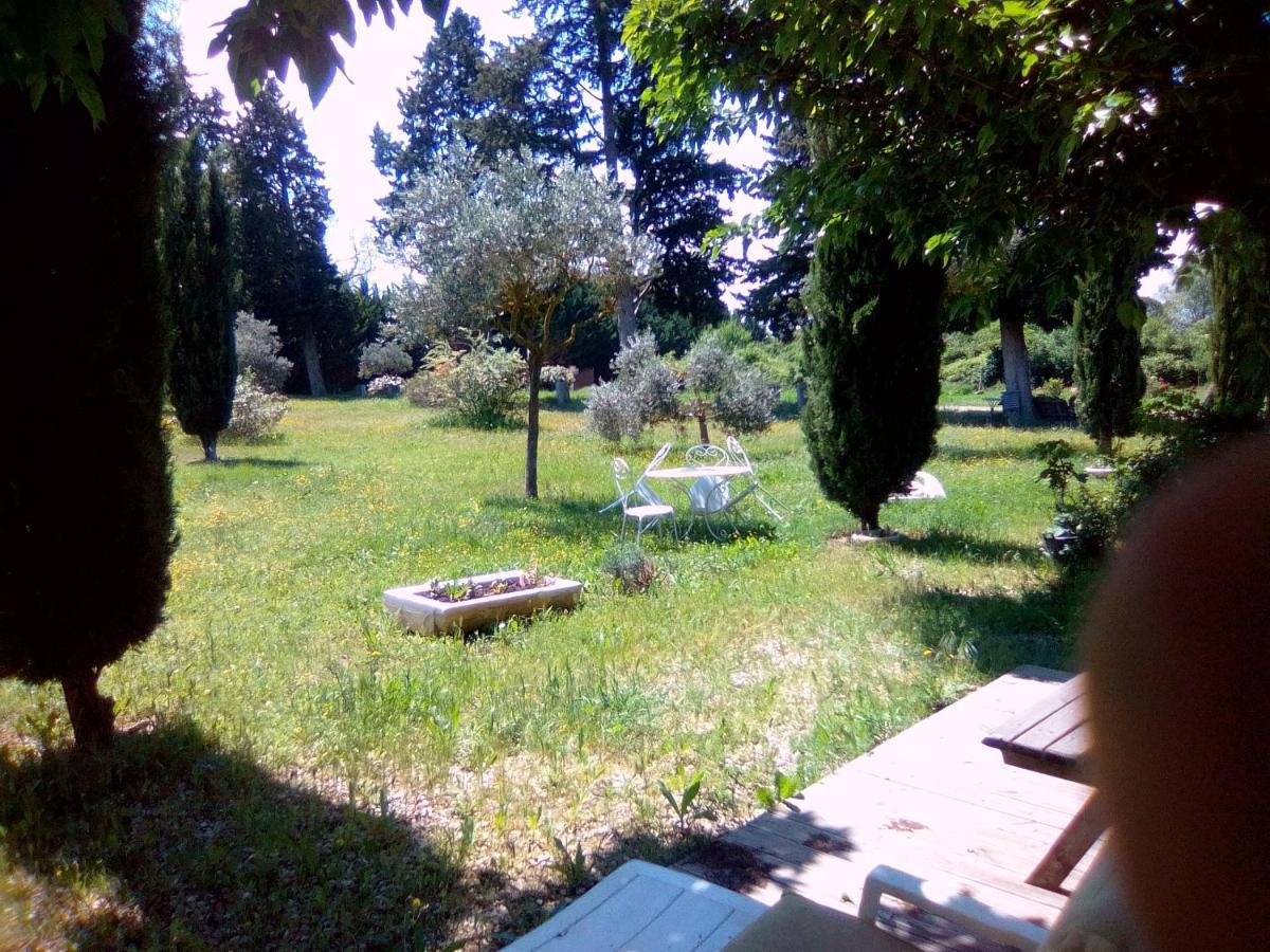 Le Domaine De Belle Bed and Breakfast LʼIsle-sur-la-Sorgue Exteriör bild