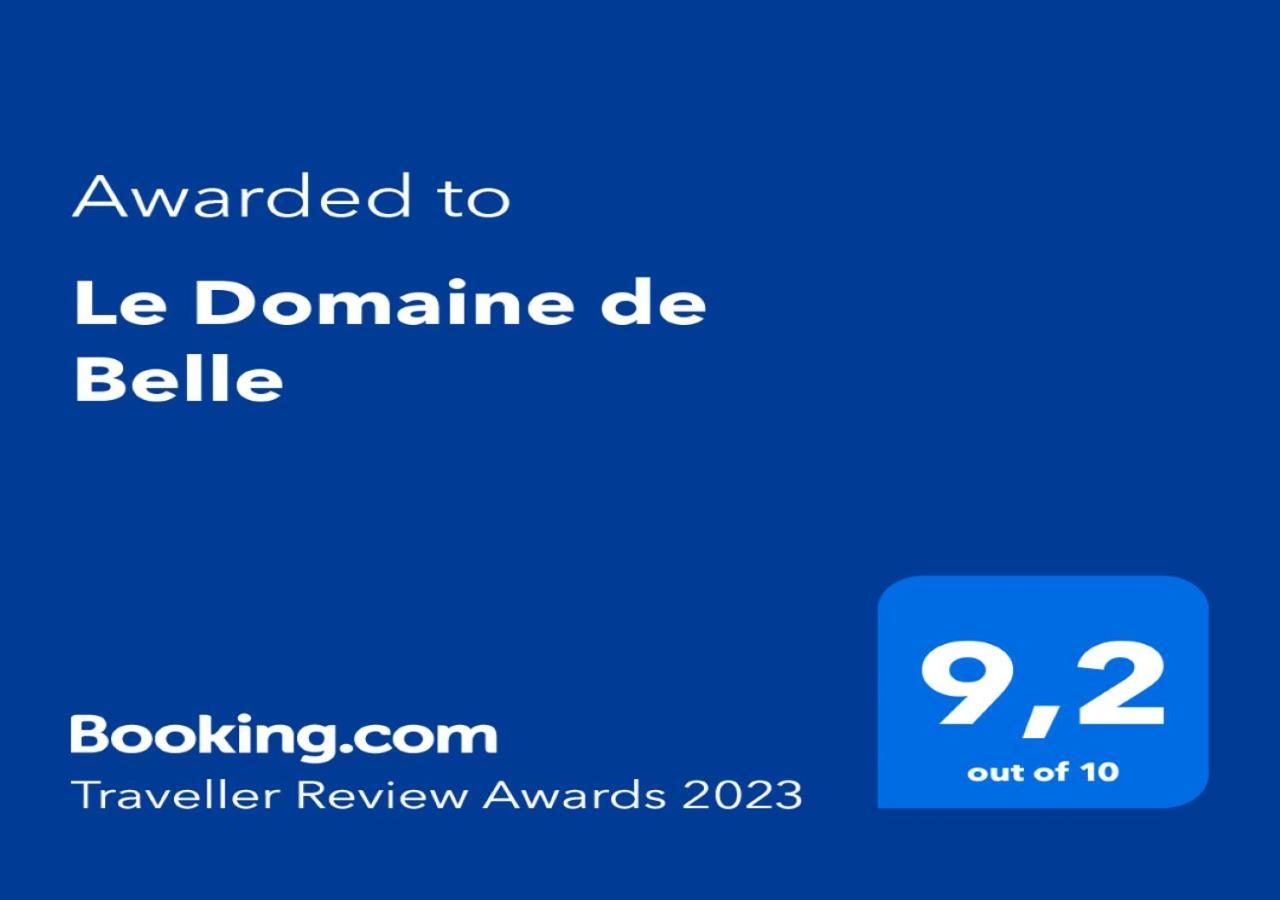 Le Domaine De Belle Bed and Breakfast LʼIsle-sur-la-Sorgue Exteriör bild